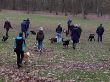 IMG-20190211-WA0006.jpg